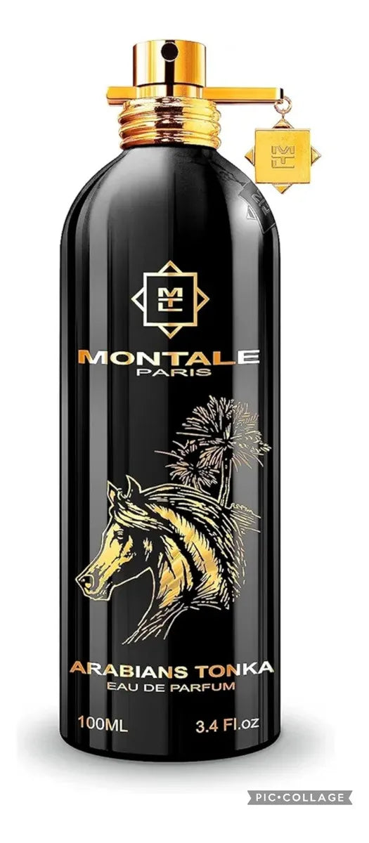 Montale Paris Arabian Tonka 100ml